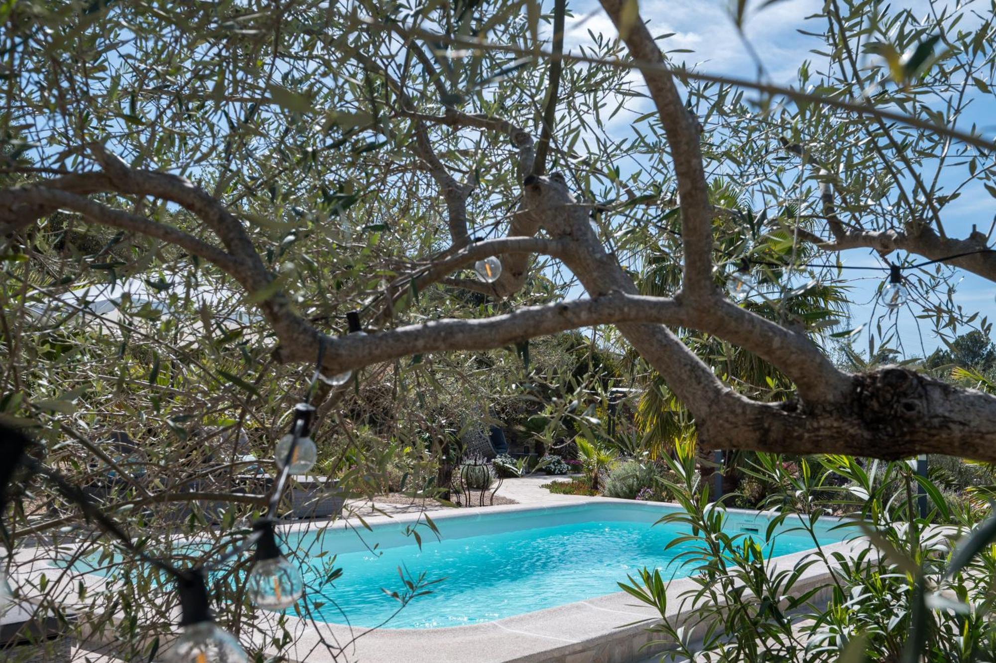 Casa De Olivos - Unique Apartments - Adult Only Traiguera Eksteriør billede